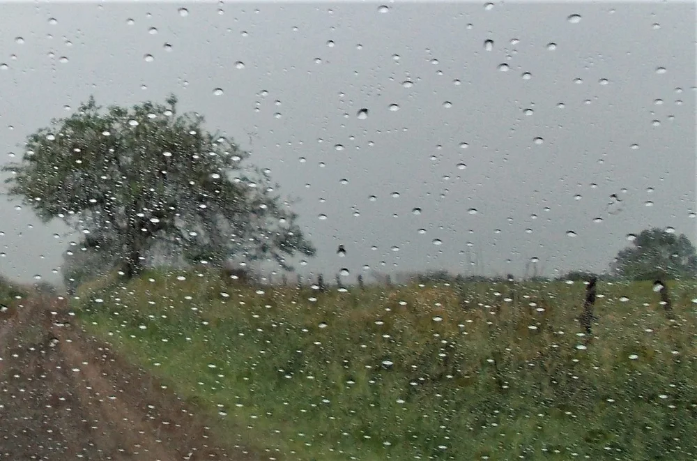 MAG recomienda anticipar labores agrícolas ante pronóstico de lluvias