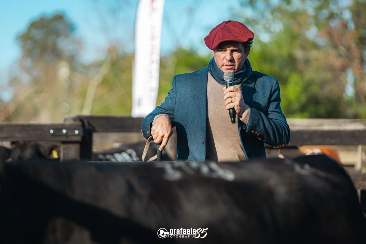 Maisonnave sobre el precio del gordo: “Hay fundamentos para que los valores actuales sean los pisos del segundo semestre”