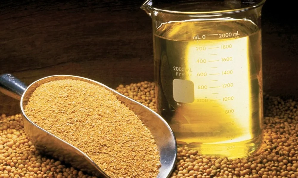 Exportaciones de soja generan USD 1.440 millones en el primer trimestre