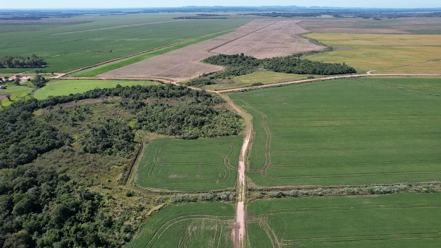 Mercado de campos en Paraguay: más operaciones, valores firmes y creciente interés regional