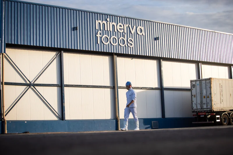 Minerva proyecta una recuperación del precio del ganado en Brasil hacia el cierre del año