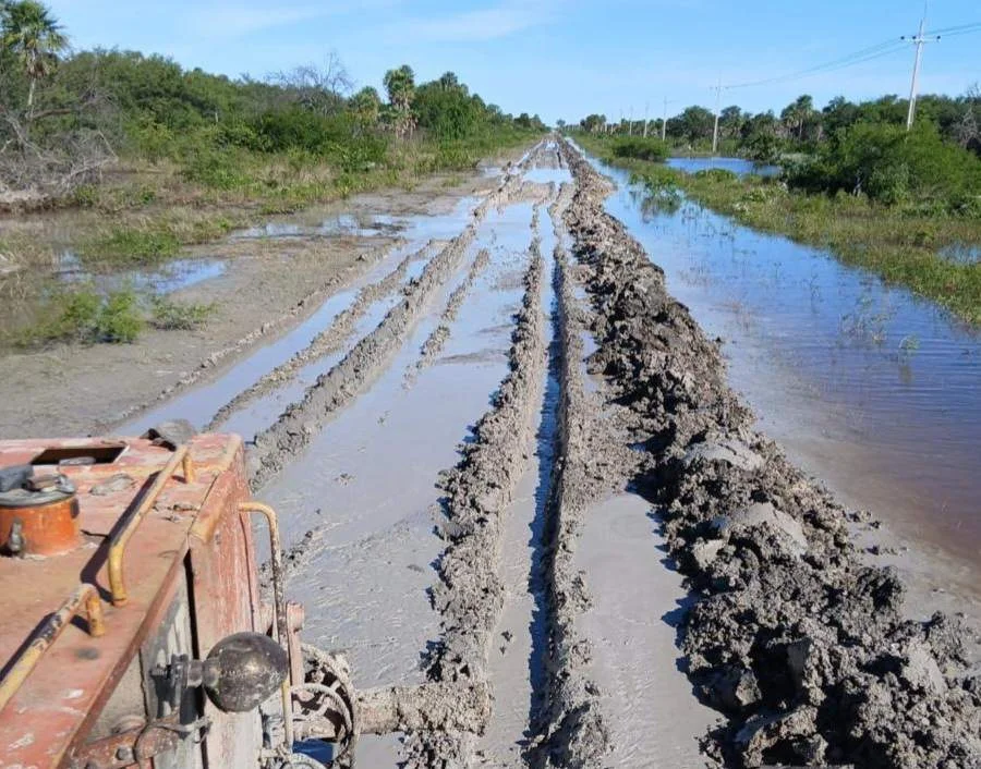 Monitorean posible adelanto de El Niño y advierten sobre impactos en agricultura y ganadería