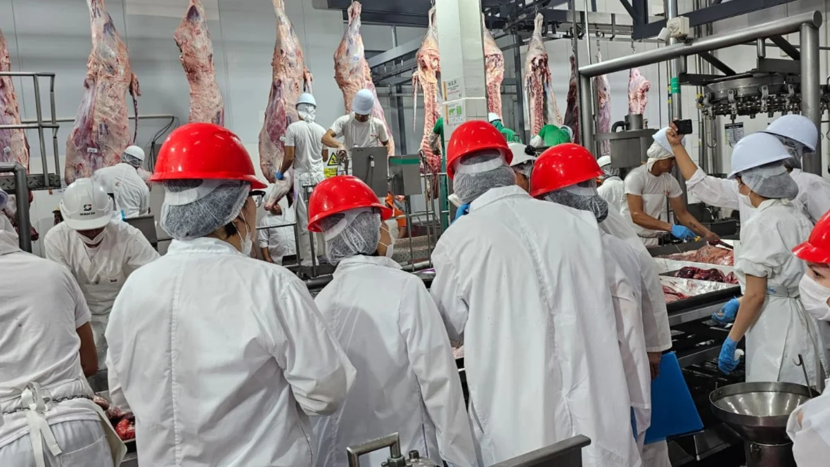 Nelore marcó un récord con 2.565 animales y “mostró el potencial de la raza para producir más kilos a menor edad”