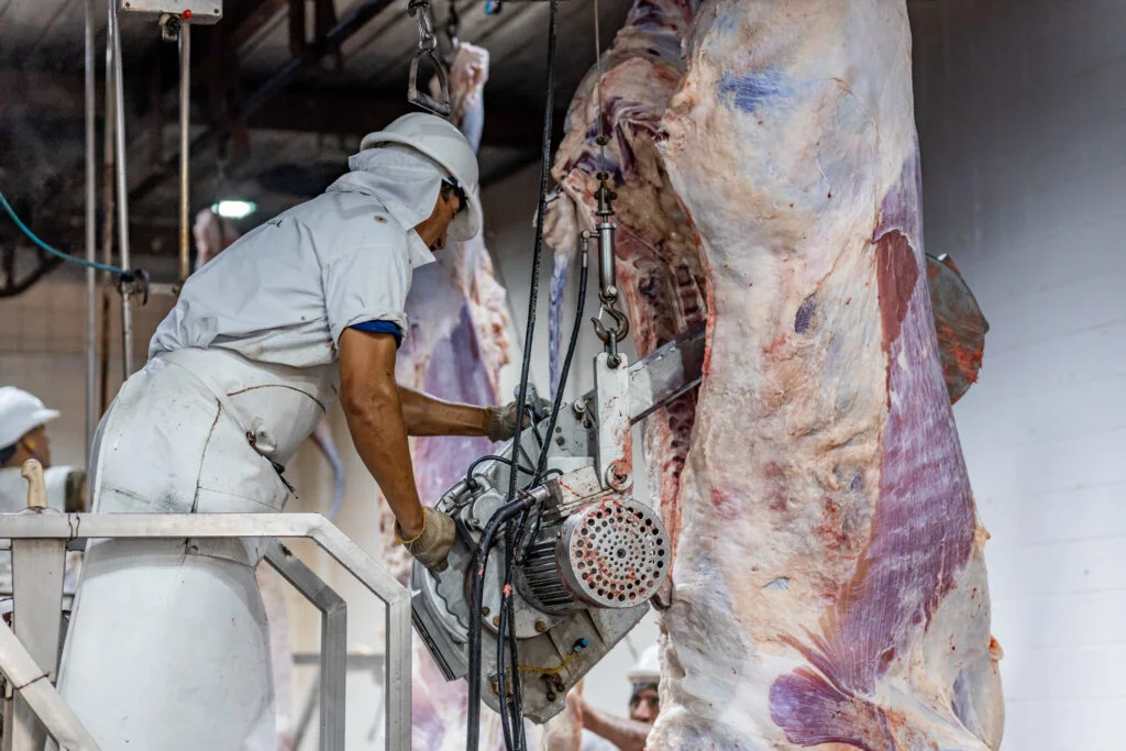 Novillo Tipo: el margen industrial bajó en junio, pero cerró el semestre 12,9% por encima de 2025
