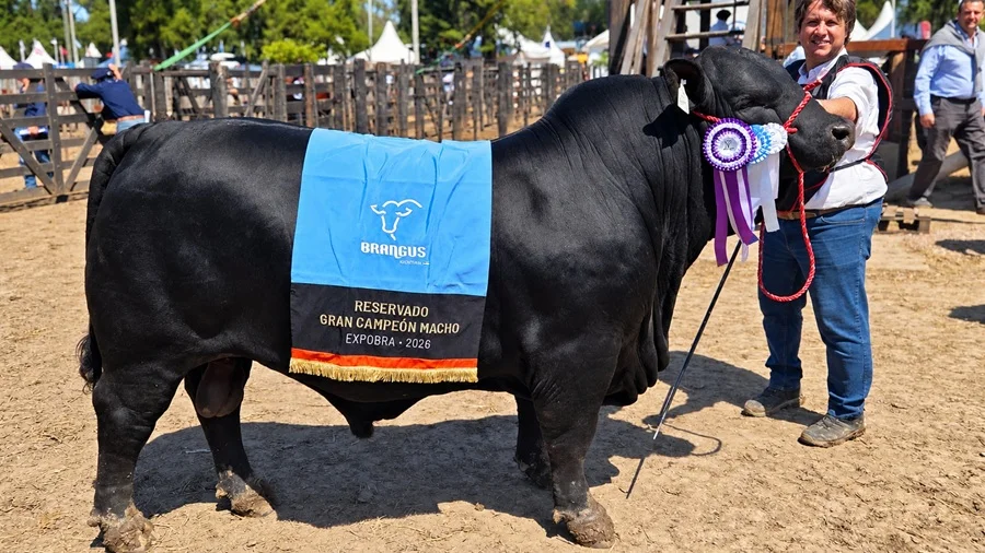 Oliver Ferreiro llevó protagonismo paraguayo a una de las grandes pistas de Argentina, la ExpoBRA