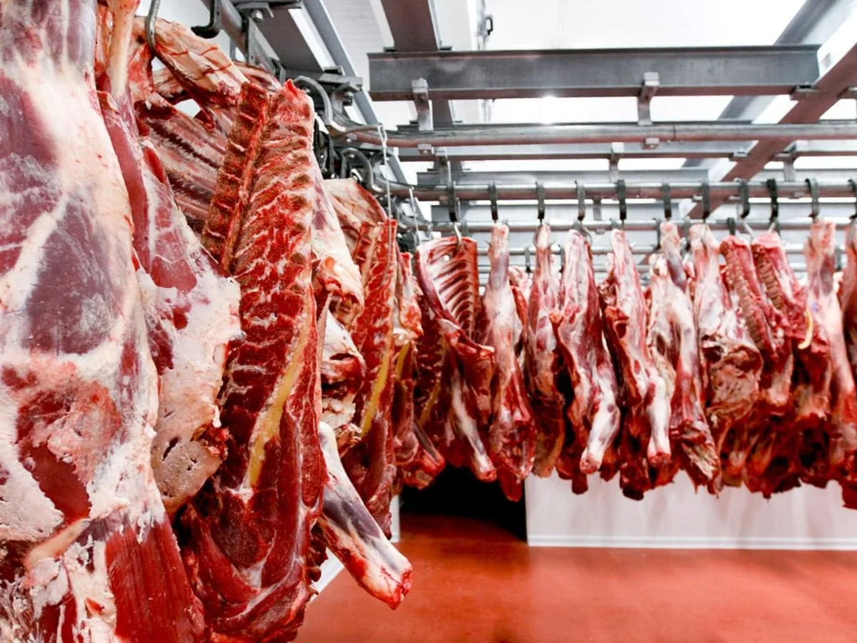 Para la industria, una cuota propia en EEUU “podría cambiar la escala del negocio exportador” de la carne paraguaya