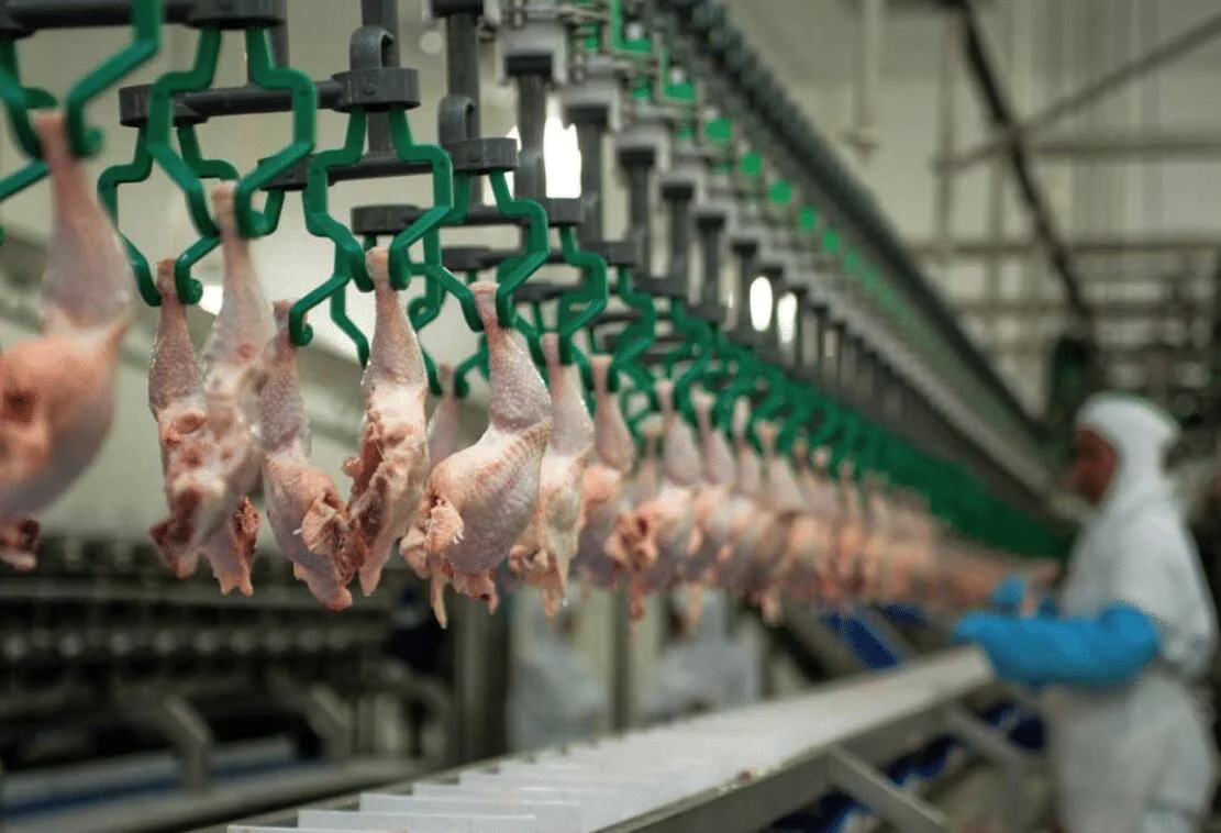 Paraguay concretó la primera exportación de carne avícola a Taiwán