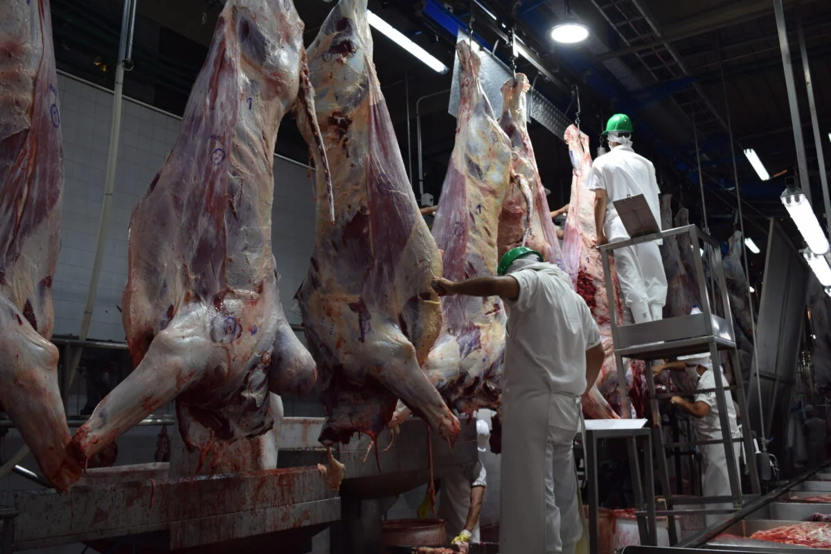 Paraguay exportó menos carne a EEUU en agosto, pero mejoró el valor de la tonelada
