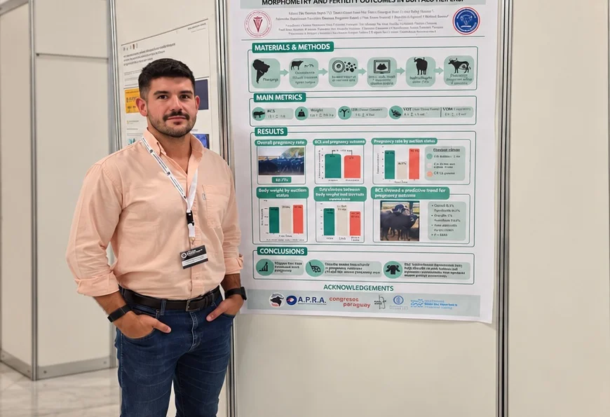 Paraguay presenta investigación sobre reproducción bubalina en el Congreso Mundial de Búfalos en Italia