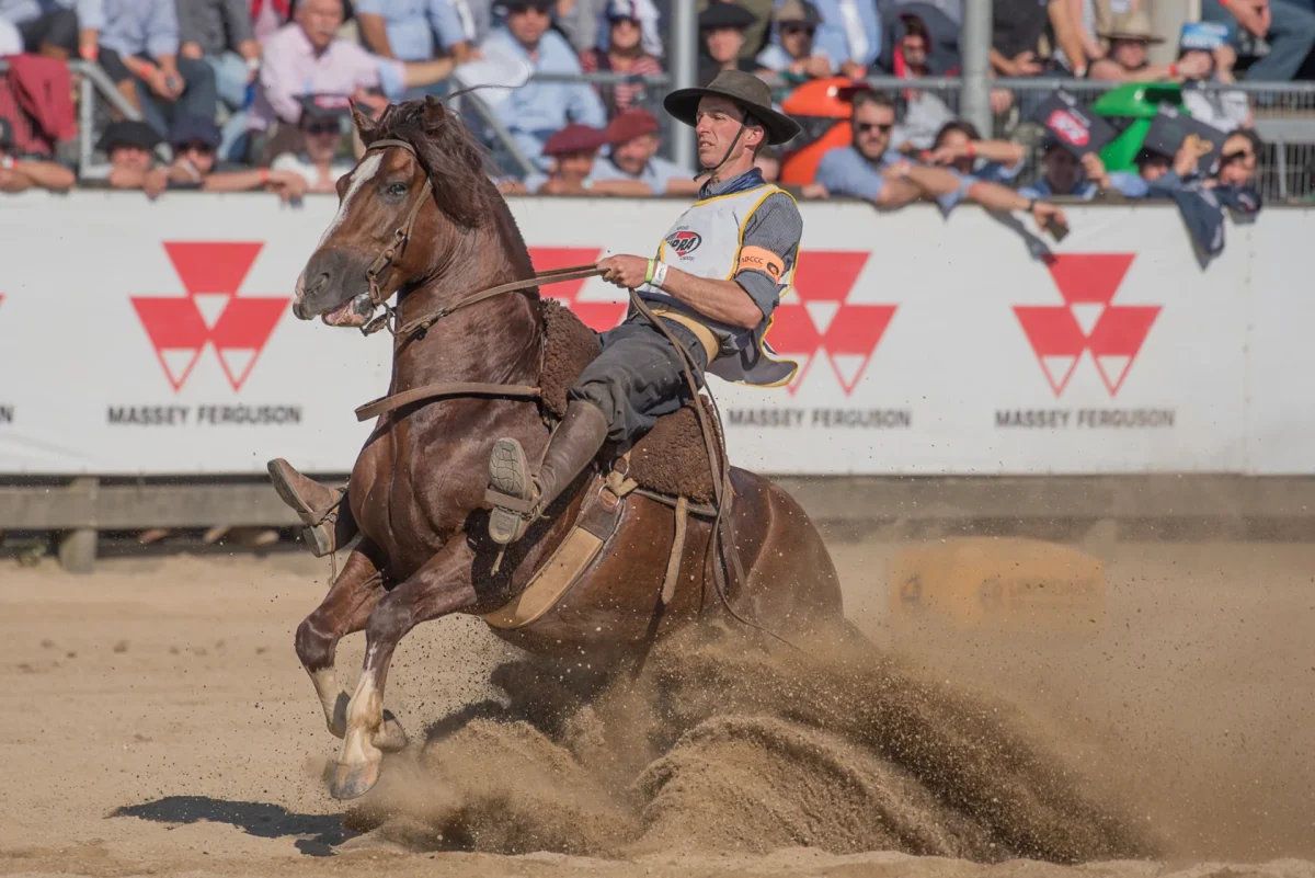Paraguay competirá en el Mundial de Caballos Criollos con altas expectativas en año histórico para la raza
