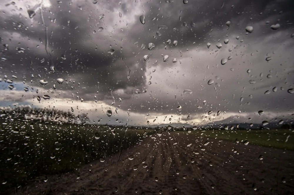 Prevén lluvias importantes en zonas productivas del norte y este del país