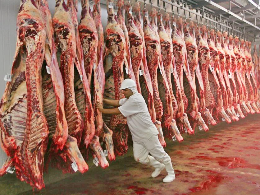 Producir más, construir marca y ganar ventajas comerciales: el próximo salto de la carne paraguay, según la industria