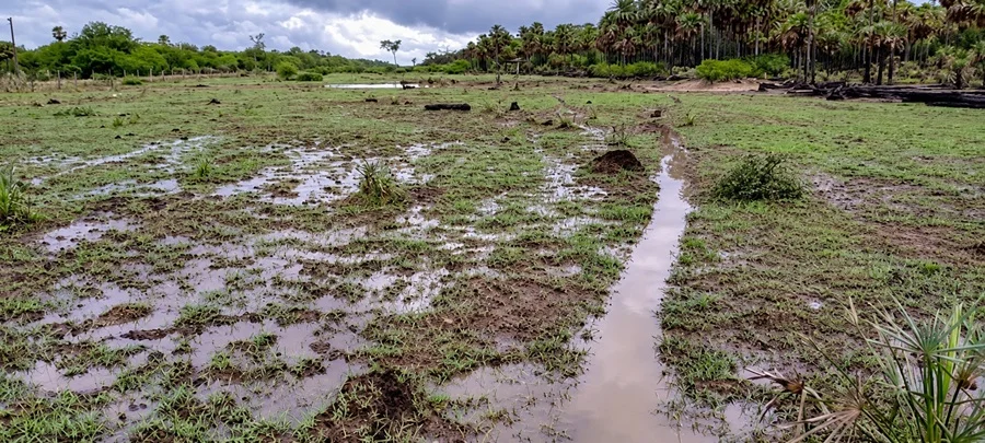 Pronostican lluvias superiores a 100 mm en algunas regiones de Paraguay durante esta semana