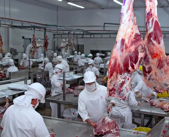 Sigue baja la exportación de carne bovina y el valor generado cayó más de USD 80 millones