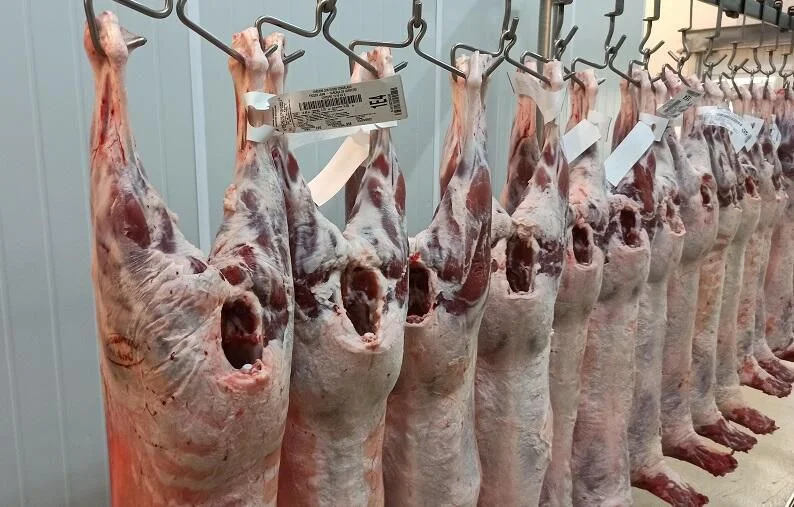 Singapur abrió su mercado a la carne ovina paraguaya