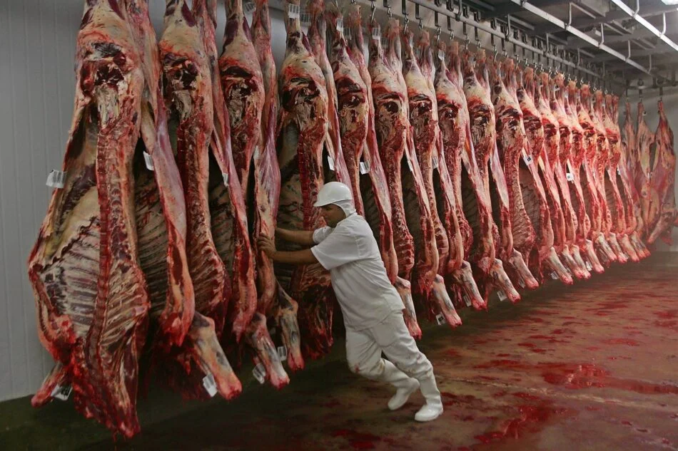 Turquía auditará industrias paraguayas en agosto para completar la apertura de carne bovina