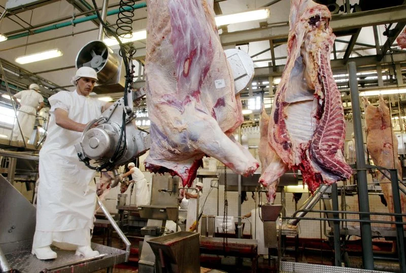 Turquía habilitó ocho frigoríficos paraguayos para exportar carne bovina
