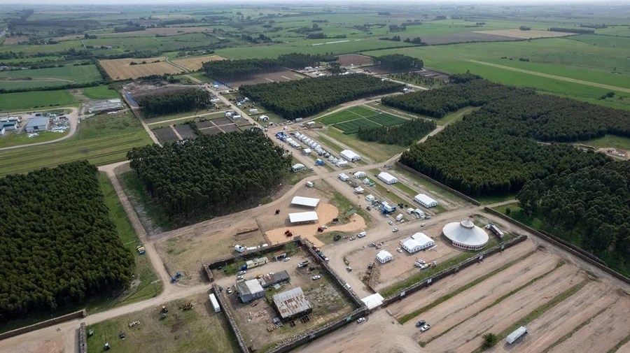 Uruforest 2026 pondrá el foco en las inversiones y el futuro de la cadena forestal regional