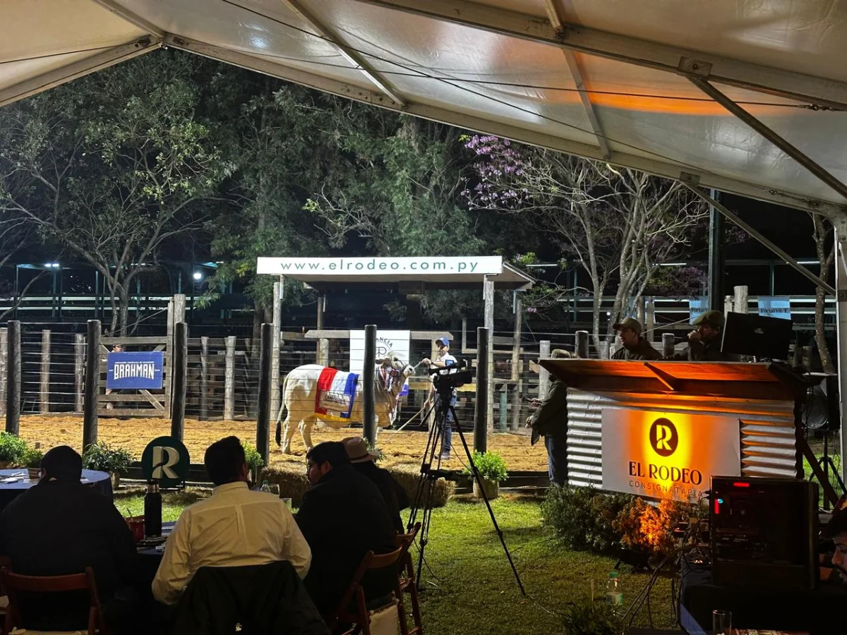 Vientres protagonistas en el remate de Palo Santo: El Rodeo vendió con fuerte puja y altos valores