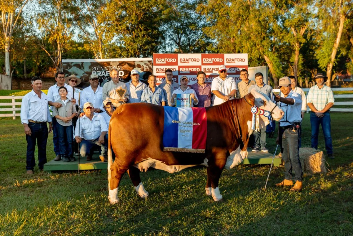 Vientres que producen futuro: Braford consolidó su potencial en la pista de hembras